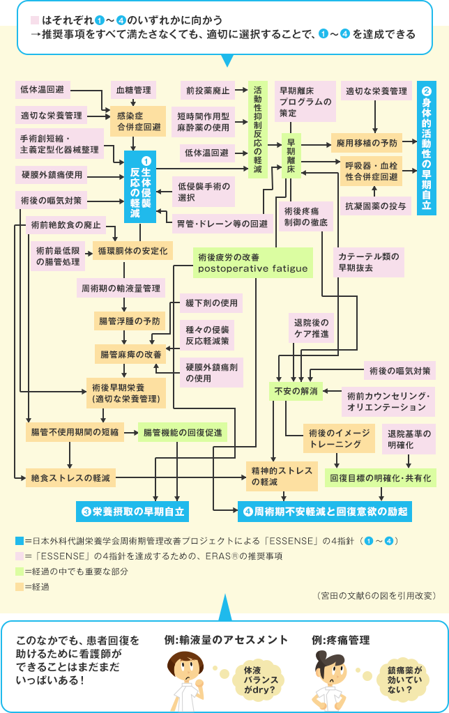 総論 なぜ いま術後回復の考え方が大切 後編 看護師ライフをもっとステキに ナースプラス