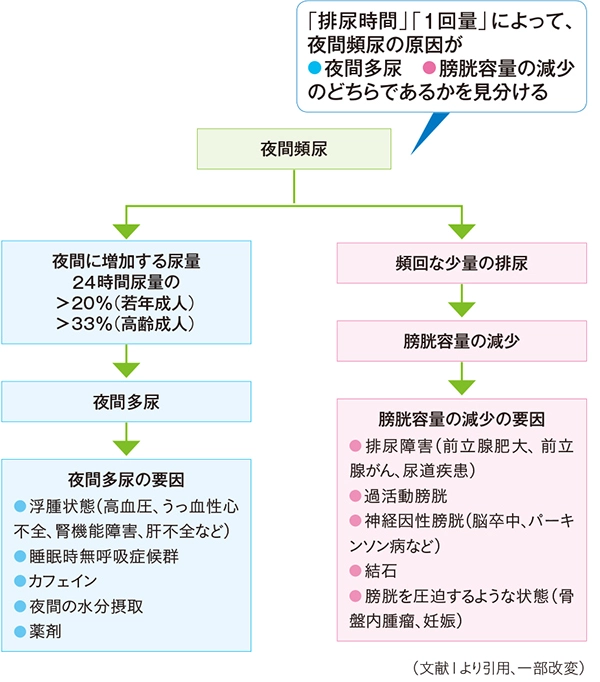 患者の睡眠ケア Q5 身体的予防策①【夜間頻尿に対応するためにできる