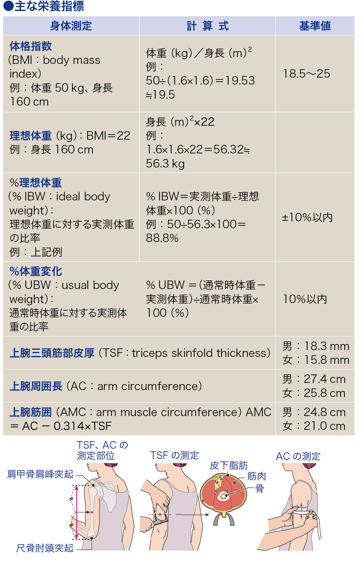 Ibw 医療