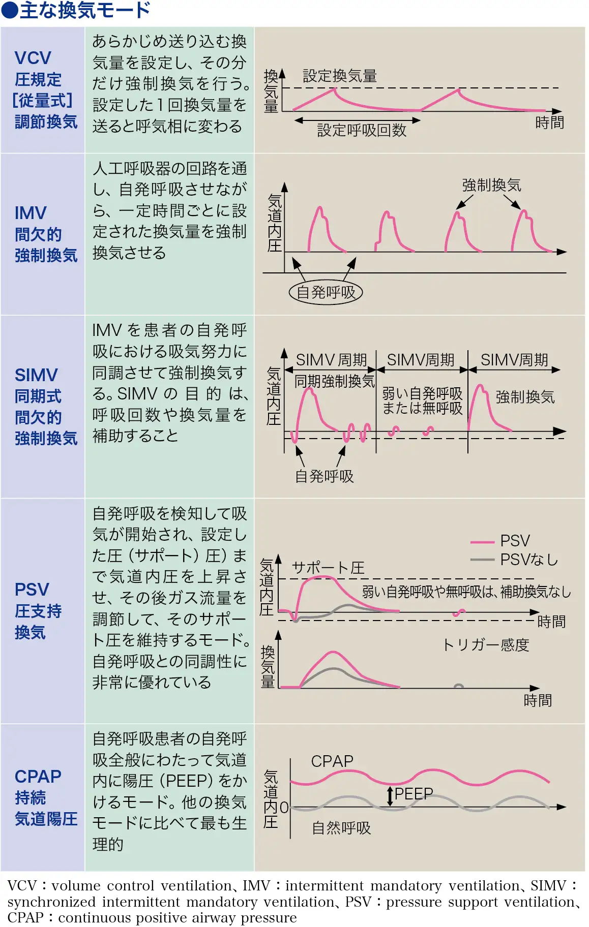 エスアイエムブイ（SIMV）[同期的間欠強制換気] 看護師ライフを