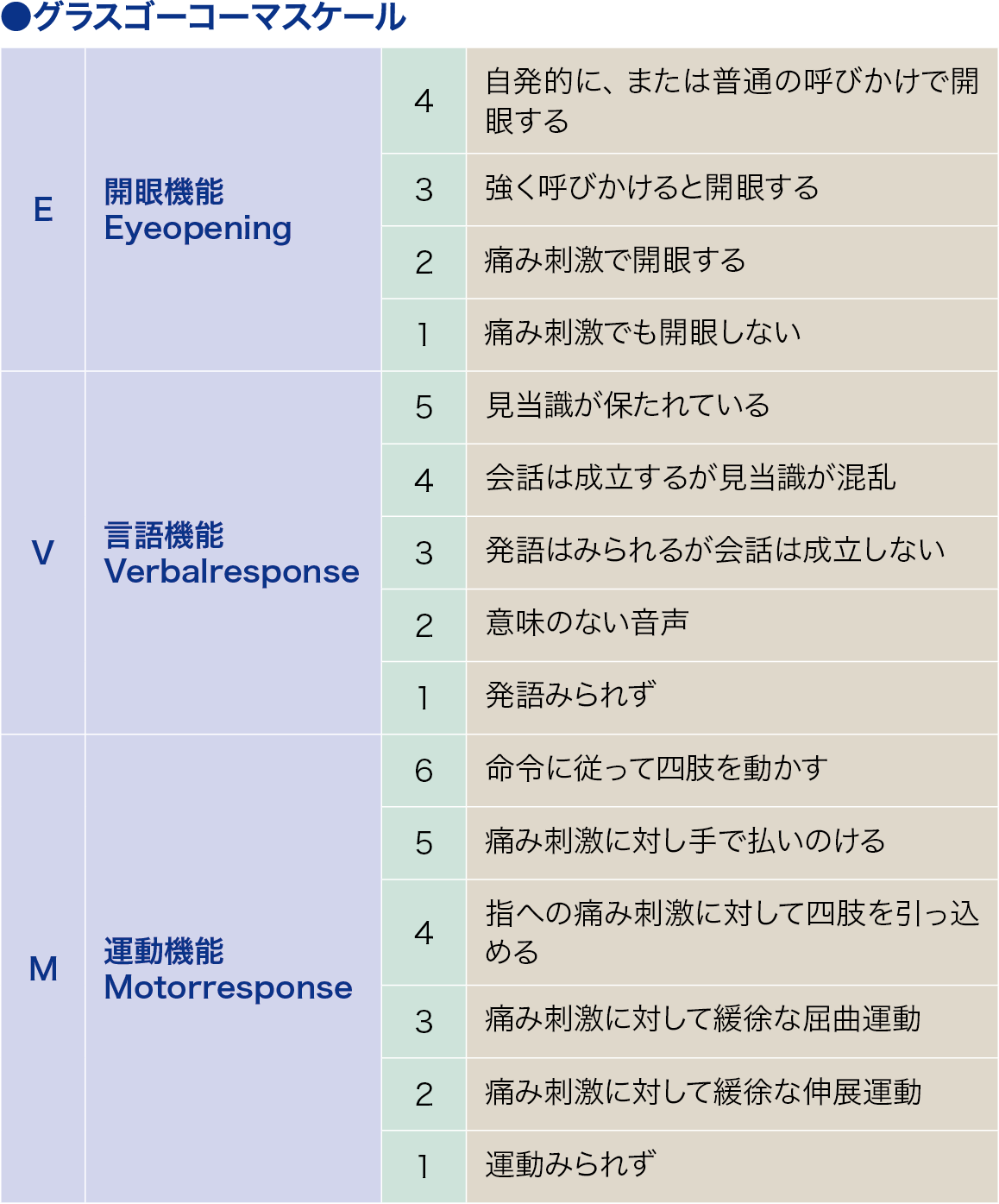 グラスゴーコーマスケール│看護師ライフをもっとステキに ナースプラス