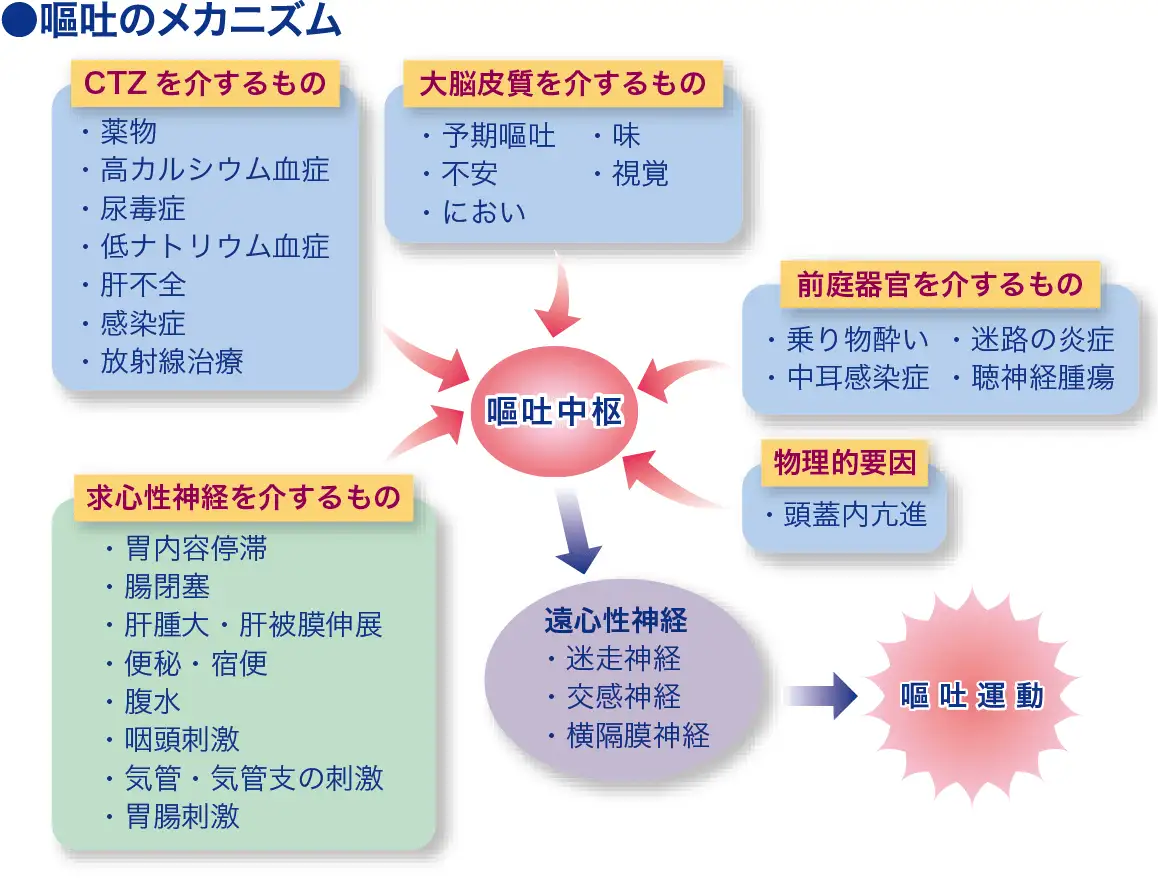 シーティーゼット（CTZ）[化学受容性嘔吐引き金帯]│看護師ライフを ...