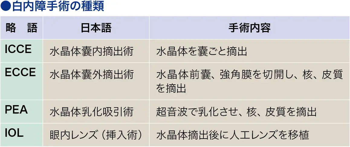 白内障[カタラクト]│看護師ライフをもっとステキに ナースプラス