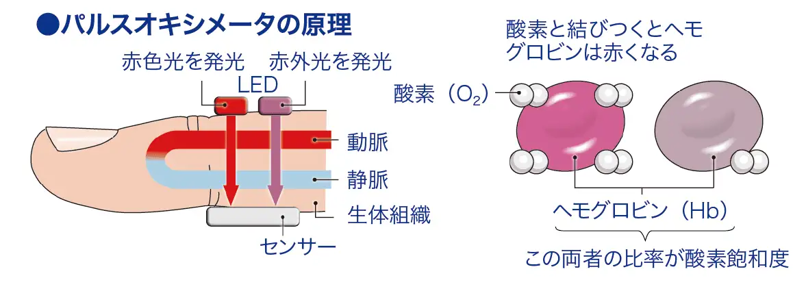 パルスオキシメータ│看護師ライフをもっとステキに ナースプラス