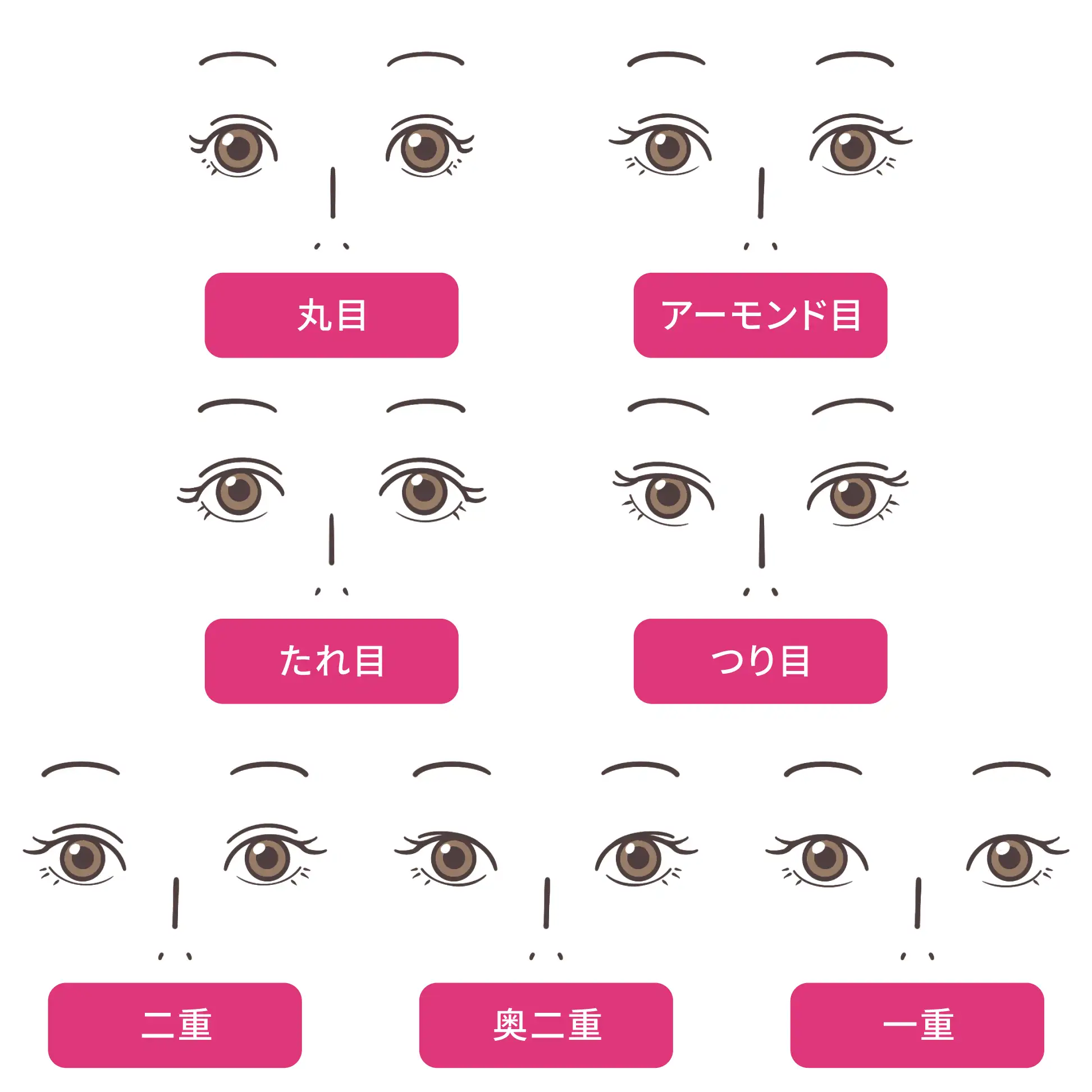 目の形診断】目の形の種類別！似合うメイクテクニックを徹底解説│看護師ライフをもっとステキに ナースプラス